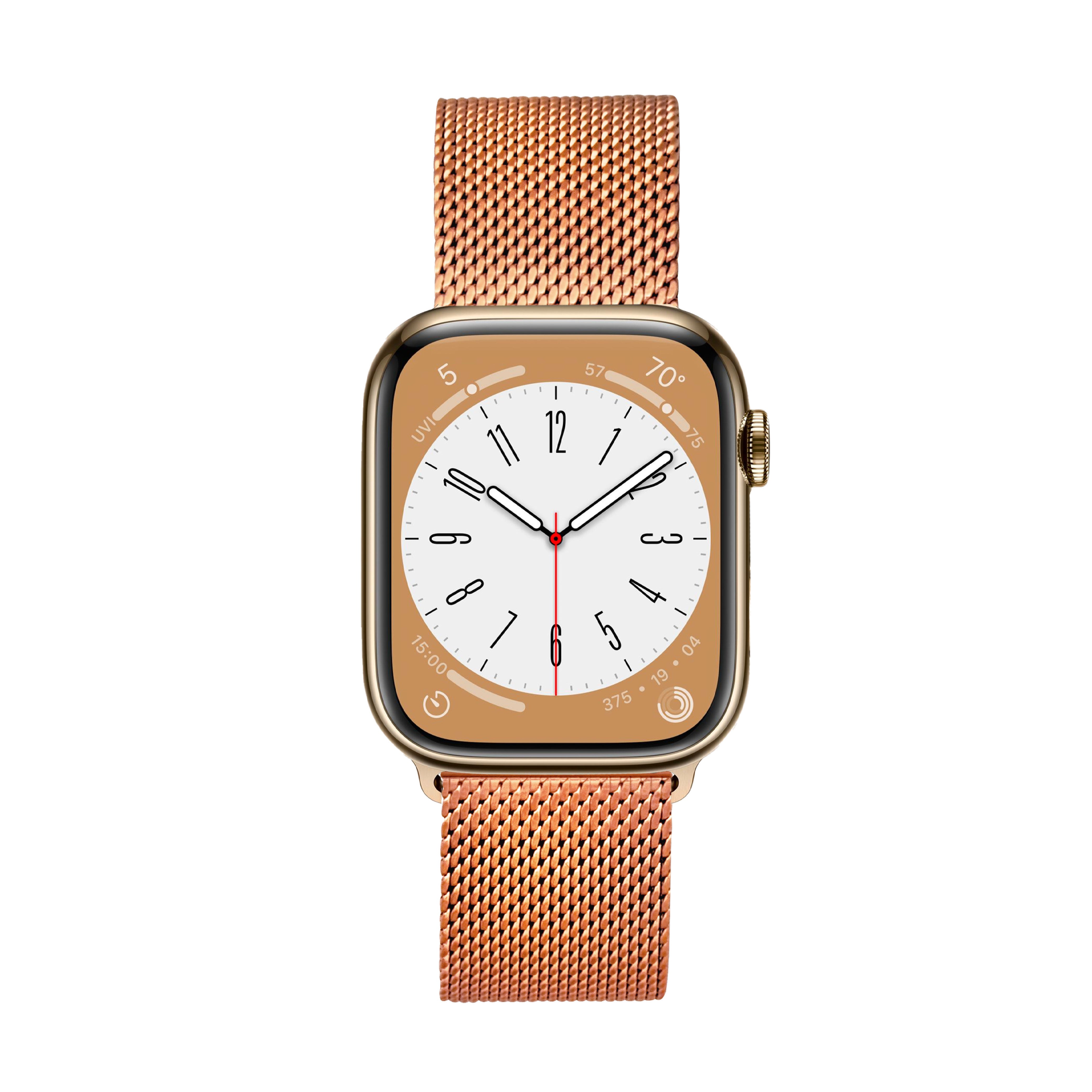 elysian-mesh-dames-apple-horlogeband-rose-gouden-ELYSAW02204-front
