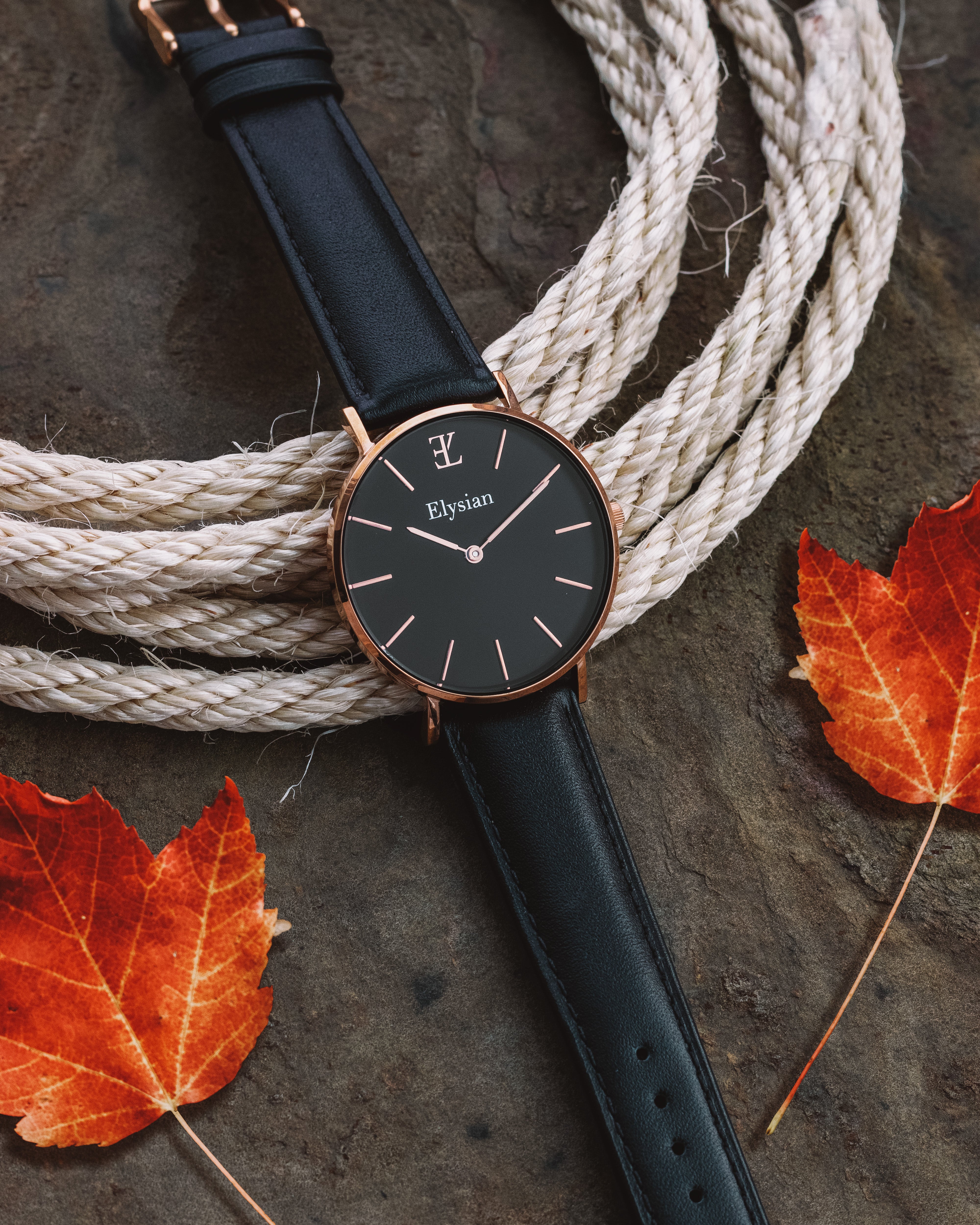 elysian-rose-gouden-dames-horloge-zwart-plaat-zwart-klassiek-leder-horlogeband-ELY01100-extra5